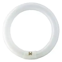 Osram T9 Lumilux Circline 32W - 840 Kaltweiß | 30cm