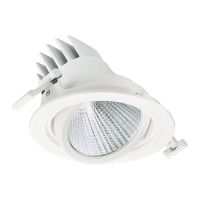 Philips Spot LED LuxSpace Accent Performance RS781B 29.5W 3850lm 36D - 830 Blanc Chaud | 170mm - Dali Dimmable