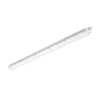 Philips Réglette LED Étanche CoreLine WT120C 61W 8000lm - 840 Blanc Froid | 150cm - Interact Dimmable